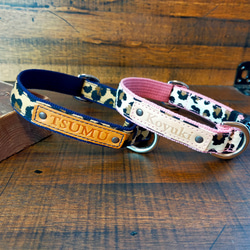 79df31dd12baa5a22c261d38eb09fe