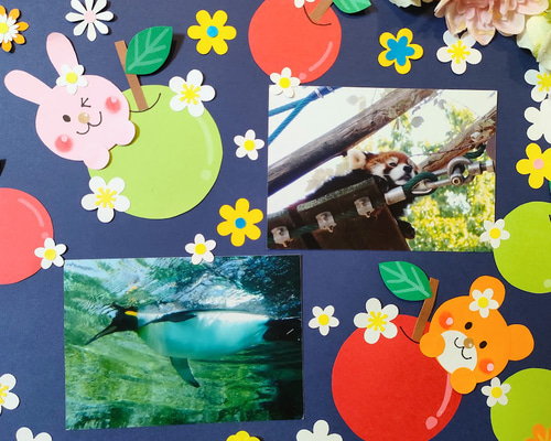 4d81df61aa5f389b6687b84ad80334