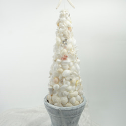 Christmas tree shell pot　(L) 3枚目の画像