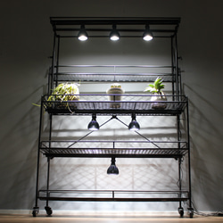 きの様専用オーダー植物棚　ライティングレール　ボタニカルシェルフ　アイアンシェルフ　植物育成ライト　塊根植物棚　 7枚目の画像