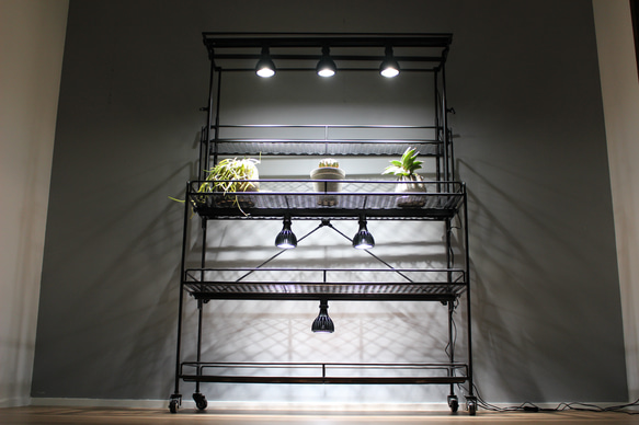 きの様専用オーダー植物棚　ライティングレール　ボタニカルシェルフ　アイアンシェルフ　植物育成ライト　塊根植物棚　 7枚目の画像