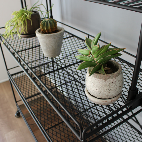 横幅をオーダー L150W45植物棚 ライティングレール ボタニカルシェルフ