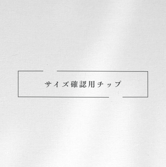 サイズ確認用チップ 1枚目の画像