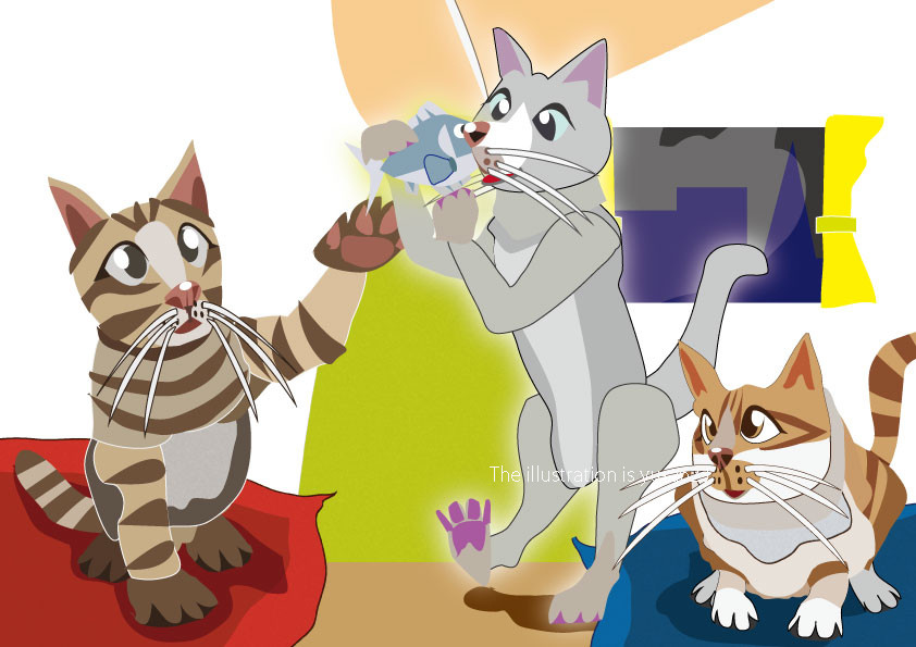 猫カフェハウス・サトー ⑤ 狙いはOK!