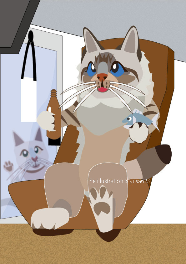 猫カフェハウス・サトー ⑥ 気分はドン！でも・・・。