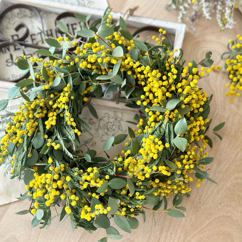 受注制作》ドライミモザ＆ユーカリのナチュラルリース 直径24㎝ お祝い  