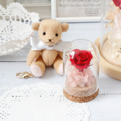 【 Annabel 】迷你瓶中花 ❤ 心型玫瑰  永生花玻璃盅 不凋花 情人節 美女與野獸 生日禮物 小王子 第1張的照片