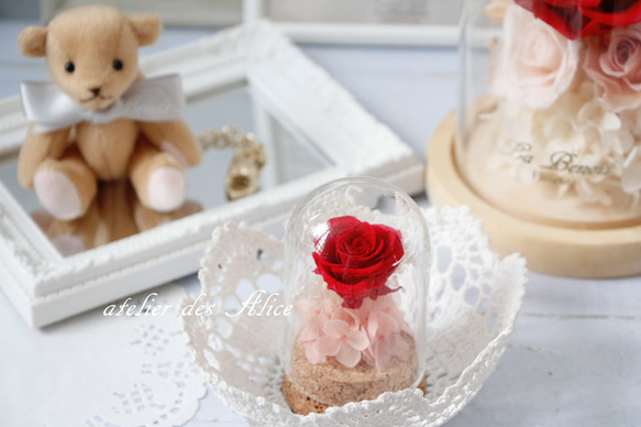 【 Annabel 】迷你瓶中花 ❤ 心型玫瑰  永生花玻璃盅 不凋花 情人節 美女與野獸 生日禮物 小王子 第6張的照片