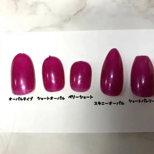 4shunwanページ ネイルチップ No. 29 ニュアンス×ワイヤー×くすみネイル ネイルチップ（つけ爪