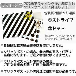 レッスンバックの単品販売【ミルキーリボン　カラフル】サブバック　補助バック　小学校　幼稚園　保育園　通園　通学　習い事 8枚目の画像