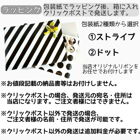 レッスンバックの単品販売【ストライプ】サブバック　補助バック　小学校　幼稚園　保育園　通園　通学　習い事　オシャレ　 7枚目の画像