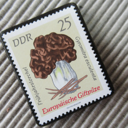 ドイツ　きのこ切手ブローチ9395 2枚目の画像