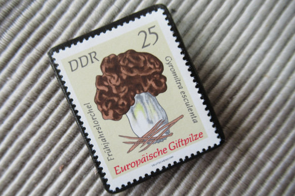 ドイツ　きのこ切手ブローチ9395 2枚目の画像