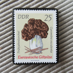 ドイツ　きのこ切手ブローチ9395 1枚目の画像