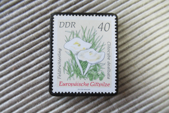 ドイツ　きのこ切手ブローチ9398 1枚目の画像