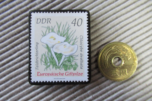 ドイツ　きのこ切手ブローチ9398 3枚目の画像