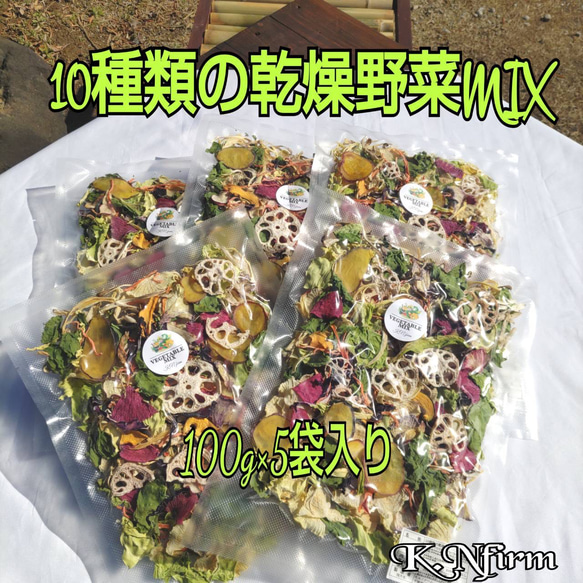 栄養満点【10種類の乾燥野菜MIX500g】自然の美味しさと香り 無添加 無着色 1枚目の画像