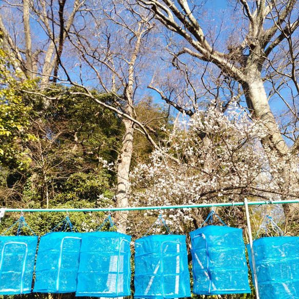 栄養満点【10種類の乾燥野菜と切り干し大根セット】 3枚目の画像