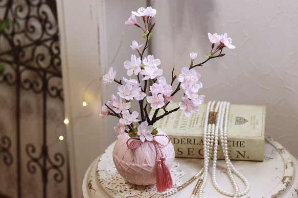 お家でお花見♪満開桜!!　盆栽風 1枚目の画像