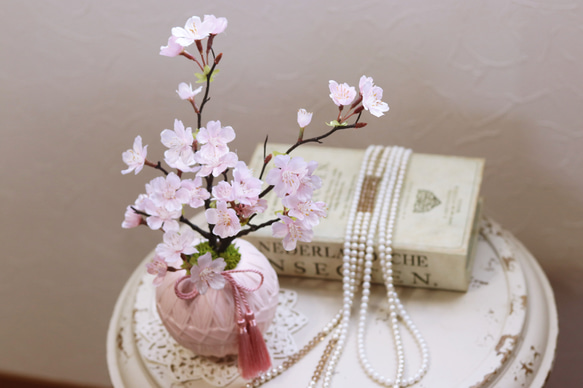 お家でお花見♪満開桜!!　盆栽風 3枚目の画像