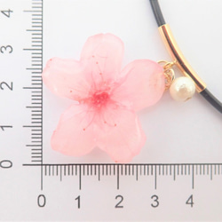 桜ハンドメイド2024　本物の桜✕コットンパール　スタイネックレス 5枚目の画像