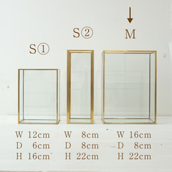 【M】立てて飾れるガラスBOXのアレンジギフト 6枚目の画像