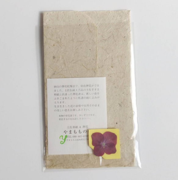 土佐和紙と押し花のメッセージカード　「Congratulation」　 2枚目の画像