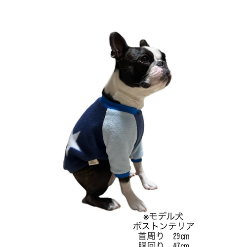 犬服 S わんこの普段着サークルフラワー