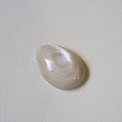 白孔雀の卵　夜光貝のペンダント 波＊ヤコウガイ シェル 海 沖縄 貝殻 縁起物 6枚目の画像