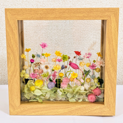 プリザーブドフラワーで作る『お花畑の箱庭』         ガラスフレーム（M） 父の日の贈り物にもいかがでしょうか 2枚目の画像