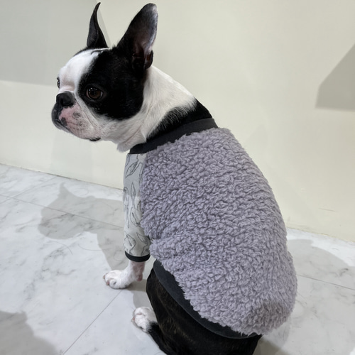 犬服 ラグラン(L) ꒡̈⃝Lily꒡̈⃝ハンドメイド 在庫処分品