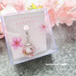 専用商品K-9119 ドロップチャーム(シマエナガ 桜) 専用商品K-9119 ドロップチャーム(シマエナガ 桜)