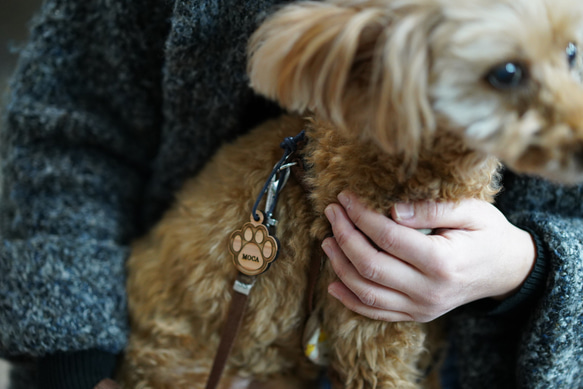 肉球ネームプレート　3点セット　肉球　ネームプレート　犬　イヌ　木製　キーホルダー　お散歩 4枚目の画像