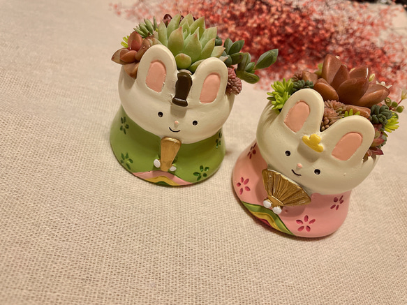 お内裏様とお雛様の寄せ植え〜多肉植物 多肉植物寄せ植え ひな祭り
