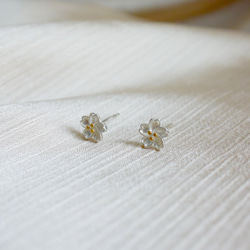 Silver925 桜の花の小粒ピアス ホワイトシルバー 3枚目の画像