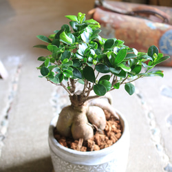 16c095fd1b4d4c5165274fd613a8a6