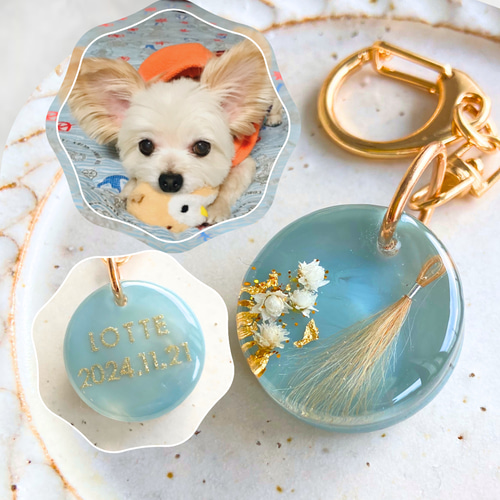 うちの子素材確認用 うちの子素材】『マーブル』全12色 名入れ可 ペットの毛・ヒゲ・羽・爪