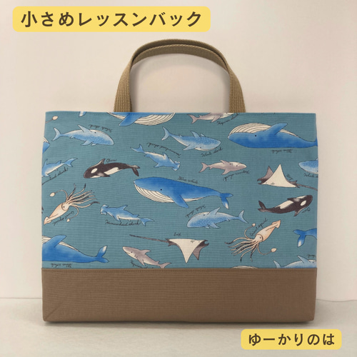 こん様専用 オーダー 手刺繍 濃紺 レッスンバッグ シューズ