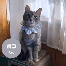 【灰色 x 花卉圖案雙面】Xavier Collar 貓項圈 第2張的照片
