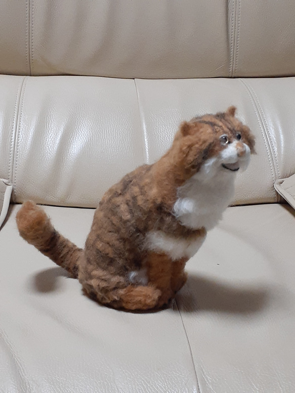 羊毛猫 5枚目の画像