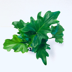 ハイドロカルチャー　セローム　セロウム　小石原焼　陶器　観葉植物　 2枚目の画像
