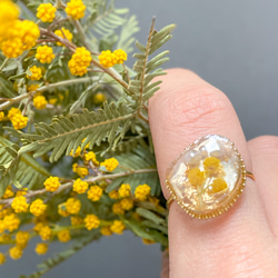 ミモザのアゲートスライスリング 【Agate mimosa】 サージカルステンレス SUS316L パール 金箔 8枚目の画像