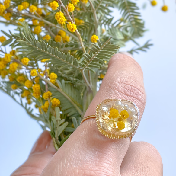 ミモザのアゲートスライスリング 【Agate mimosa】 サージカルステンレス SUS316L パール 金箔 4枚目の画像