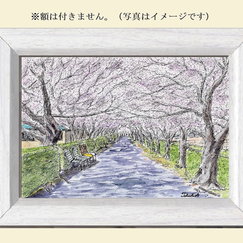 原画一点物 「桜のトンネル」 <ペンスケッチ+透明水彩 原画一点物 「桜のトンネル」 <ペンスケッチ+透明水彩