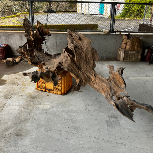 天然木 ケヤキ 流木 その他アート kino.kazu 通販 17256712｜Creema  