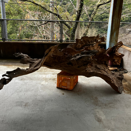 天然木 ケヤキ 流木 その他アート kino.kazu 通販 17256712｜Creema  