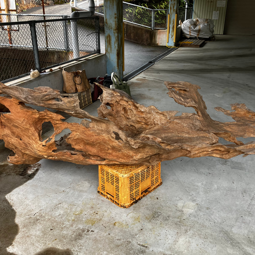 天然木 ケヤキ 流木 その他アート kino.kazu 通販 17256712｜Creema  