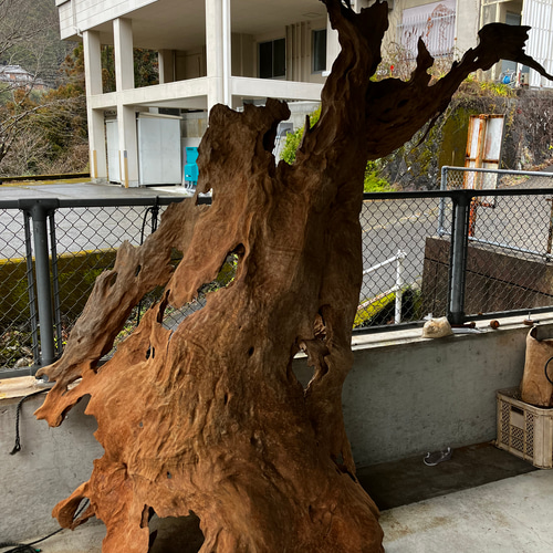 天然木 ケヤキ 流木 その他アート kino.kazu 通販 17256712｜Creema  