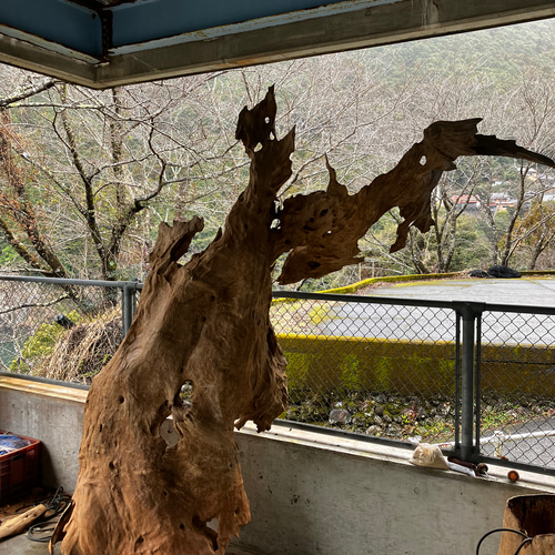 天然木 ケヤキ 流木 その他アート kino.kazu 通販 17256712｜Creema  