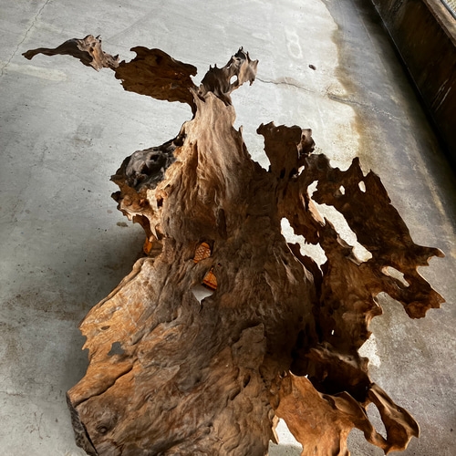 天然木 ケヤキ 流木 その他アート kino.kazu 通販 17256712｜Creema  